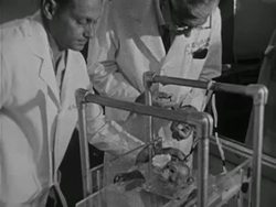 1965: BRAIN EXPERIMENTS Instructional Video
