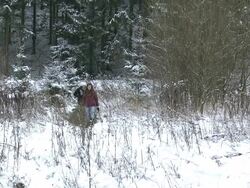 WS Two women walking through forest with  christmasin hand / Saarburg, Rhineland-Palatinate, Germany Stock Footage