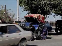 HORSE AND CARRIAGES Stock Footage