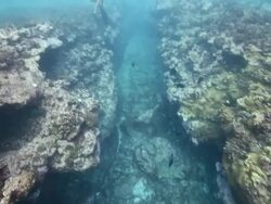 Underwater point of view Stock Footage