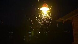 Close-up of an old street lamp with insects at night Stock Footage