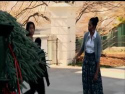 Michelle Obama, daughters Malia and Sasha, and family dog Bo have witnessed arrival of a 19-foot balsam fir from Wisconsin as the official White House Christmas tree. (Nov. 25) Instructional Video