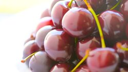 cherries on a rotating plate, closeup Stock Footage