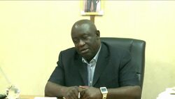 CLEAN : Ebola outbreak hits air travel amid calls for bans to be lifted News Clip