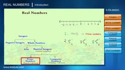 Real Numbers Introduction Instructional Video