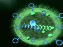 Animation showing an example of the use of synthetic biology, to create bacteria engineered to detect the presence of parasites. Stock Footage