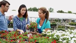 Diverse couple talk with garden center employee about flowers Stock Footage