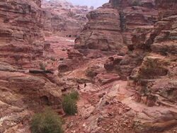 WS View of Al Khazneh with tourists / Petra, Jordan Stock Footage