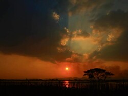 sunset Stock Footage