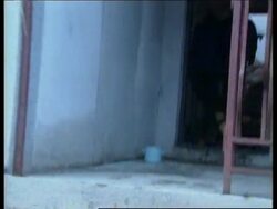 KOSOVO: MITROVICA: VIOLENCE LATEST (V) News Clip