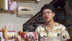 Acupuncture for pets News Clip