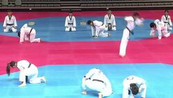 CLEAN : K Tigers perform at SKoreas new News Clip