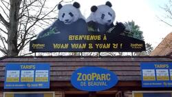 CLEAN: Pandas settle into new home in France News Clip