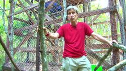 Flying above the Cambodian jungles Instructional Video