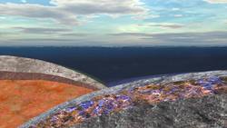 Clams feed off Earth's mantle near deep, low-temperature vents Instructional Video