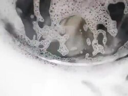Bubble Stock Footage