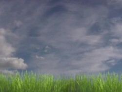 Green grass in foreground and moving clouds. Perfect background. Stock Footage