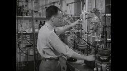 MS Scientist doing research in laboratory / United States Stock Footage