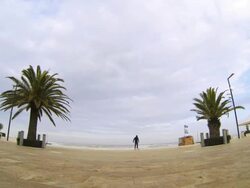 Skateboarder ollie on public park Stock Footage