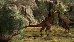 Dinosaurs To Birds Stock Footage