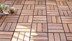 Joyful Cat Stock Footage