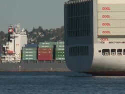 Seattle Port Container Operations Stock Footage