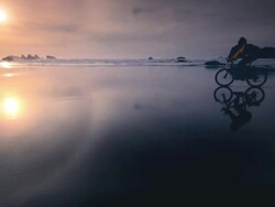 MS TS Shot of Man riding mountain bike on beach at sunset / Port Orford, Oregon, United States  Stock Footage
