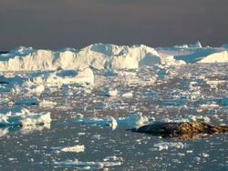 WS T/L View of icebergs moving in icy water / Ilulissat, Greenland Stock Footage
