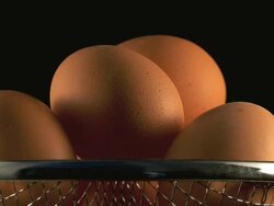 CU Shot of fresh eggs / Malaga, Spain Stock Footage