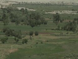 Shrubs and trees break up the open and contrasting landscape of North Africa. Stock Footage