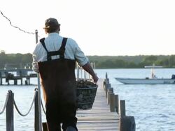 WS Waterman Carrying Basket of Fresh Oysters Down Fishing Dock / Oyster, Virginia, USA Stock Footage