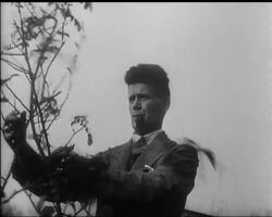 Norman Ridgeley, Ishbel MacDonald's husband. News Clip