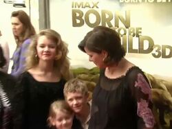 Marcia Gay Harden at the 'Born To Be Wild 3D' Premiere at Los Angeles CA. (Footage by WireImage Video/GettyImages) Stock Footage