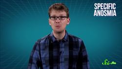 Food Compilation - Happy Thanksgiving! Instructional Video