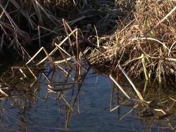 HD: Pollution Stock Footage