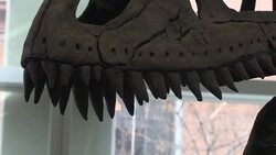 VOICED : Descubren nuevo linaje de dinosaurio carnivoro en Argentina News Clip