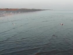 Bangpoo seacoast Stock Footage