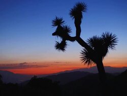 Sunset time lapse in Joshua Tree National Park Stock Footage