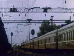 Storks nesting in cupolas and railway wires, USSR 1970s Stock Footage