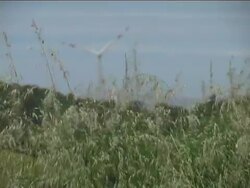 Wind turbine Stock Footage