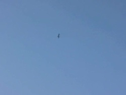 Military airplane (HD) Stock Footage