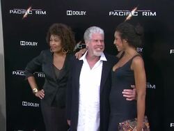 Ron Perlman at Pacific Rim Los Angeles Premiere on 7/92013 in Hollywood, CA. (Footage by WireImage Video/Getty Images Entertainment Video) Stock Footage