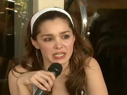 Celebrity Save The Seal Day: Press Conference Hosted by Celebrities Against The Seal Hunt Stock Footage