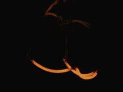 ECU macro of a lightbulb switching on and off Stock Footage