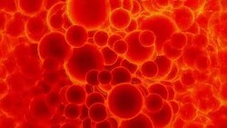 Blood Cells In Artery Stock Footage