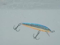 fishing bait-wobbler Stock Footage