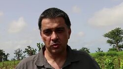 VOICED : Senegal produces first wine in shade of iconic baobab News Clip