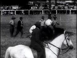 Australia - Cowboys don't care. News Clip