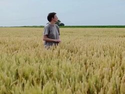 Agronomist Stock Footage