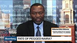 Nigeria's Udoma Wants to Empower Private Sector News Clip
